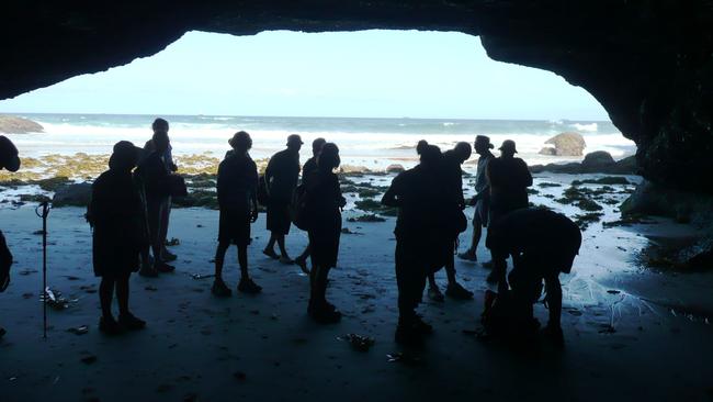 Munmorah State Recreation Area, Sea Caves Walk. Picture: Cathy Stubbs