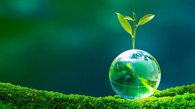 Green shoots are showing in the crypto market once more. Pic via Getty Images