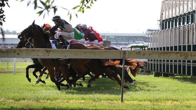 Magic Millions, 2 year old Classic race start from outside turf club Through fence. Picture Mike Batterham