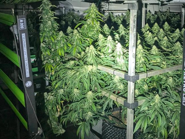 Police have arrested and charged a 46-year-old Hackham in relation to a drug bust at Edwardstown. PICTURE: SA Police.