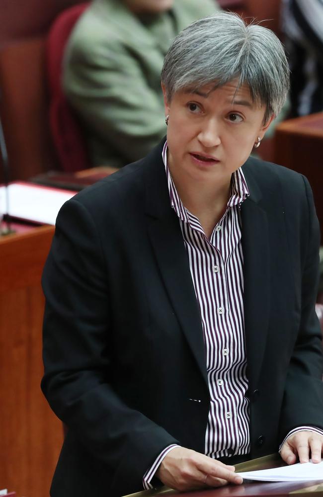 Senator Penny Wong speaks to the chamber as Senator Fraser Anning waits for a censure motion. Picture: Gary Ramage