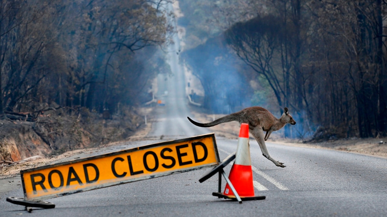 'Too late to leave': Vic residents told to take immediate shelter from fires