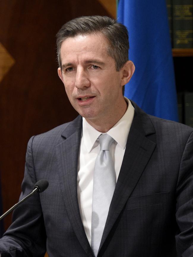 Liberal Finance Minister Simon Birmingham will feature, too. Picture: NCA NewsWire / Andrew Henshaw