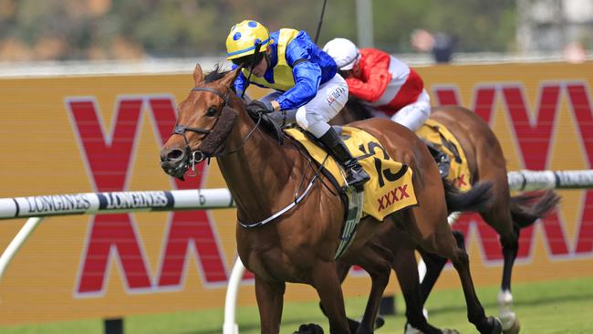 Favourite Moon gives William Haggas major chances in two big Group 1 races at Randwick as equal favourite for the Sydney Cup. Photo: Mark Evans/Getty Images