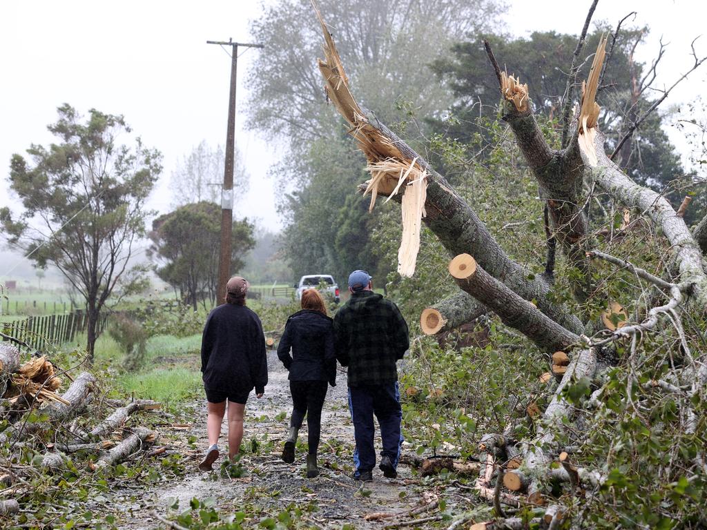 Trees ripped apart as Cyclone Gabrielle left a trail of destruction. Picture: Fiona Goodall/Getty Images