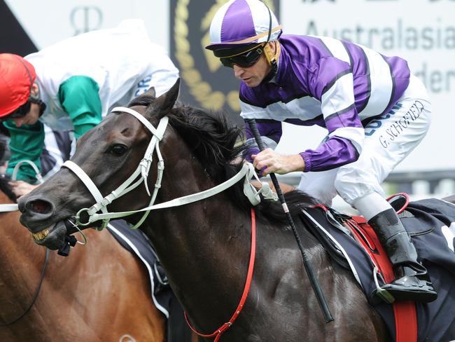 Photographs: Simon Bullard. Race 4 - 2:30PM AUSTRALIAN INTERNATIONAL HORSE RACING FEDERATION HANDICAP (2000 METRES). Winner 'Loophole' ridden by Glynn Schofield.