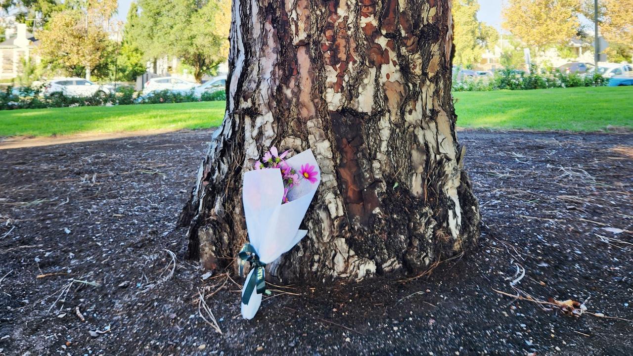 Flowers left in Brougham Gardens for Mr Stahlhut left by a woman who said he was her “best friend”. Picture: Darcy Fitzgerald