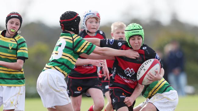 Northern Suburbs played Gordon on the opening day.