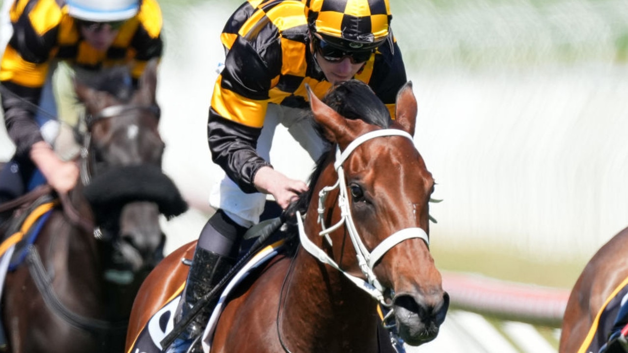 Could Joliestar develop into a serious Everest contender this spring? Picture: Scott Barbour/Getty Images