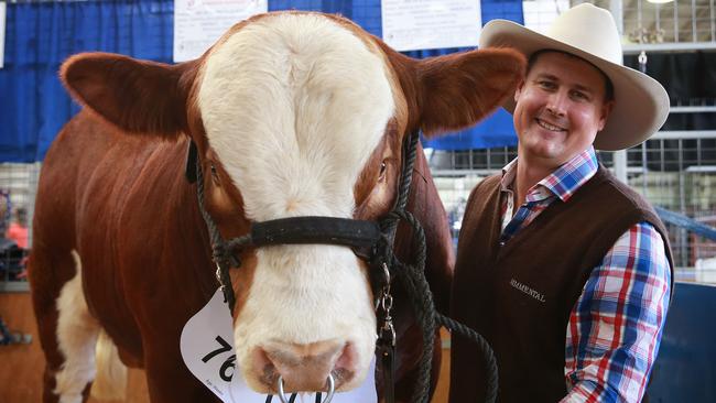 Woonallee Simmental stud: Positives on dark side of breed | The Weekly ...