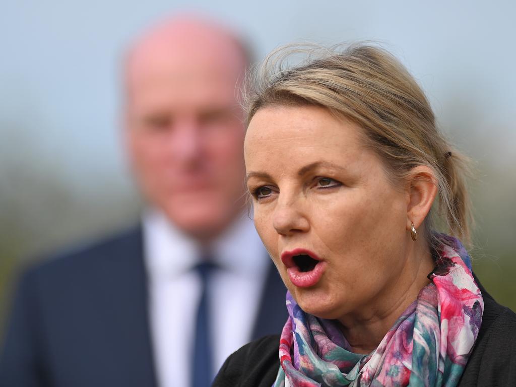 Environment Minister Sussan Ley will announce the $12m measure to help tourism in the Great Barrier Reef. Picture: NCA NewsWire / Steven Saphore