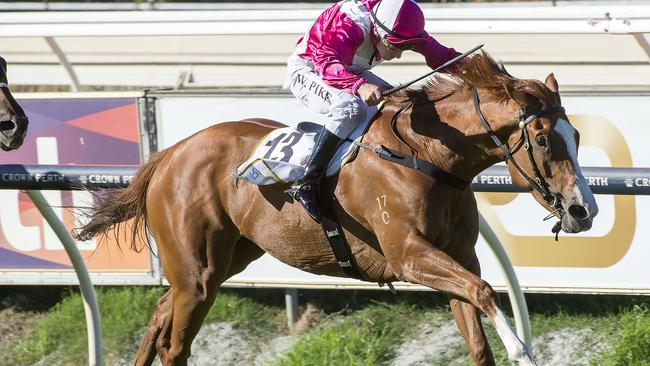 Real Love finds another gear to draw away and win by 1-½ lengths in the Perth Cup. Pictures: Simon Merritt