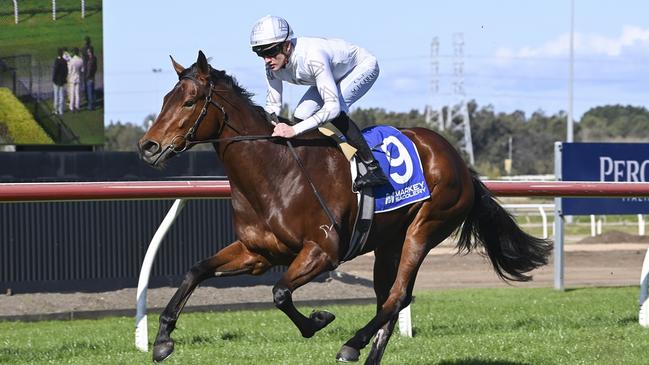 Cheergal is a winner at Kembla looks hard to beat second-up. Picture: Bradley Photos