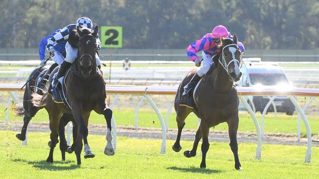 Politely Dun (left) will contest the Byerley Handicap at Flemington on Saturday. Picture: Brett Holburt/Racing Photos via Getty Images