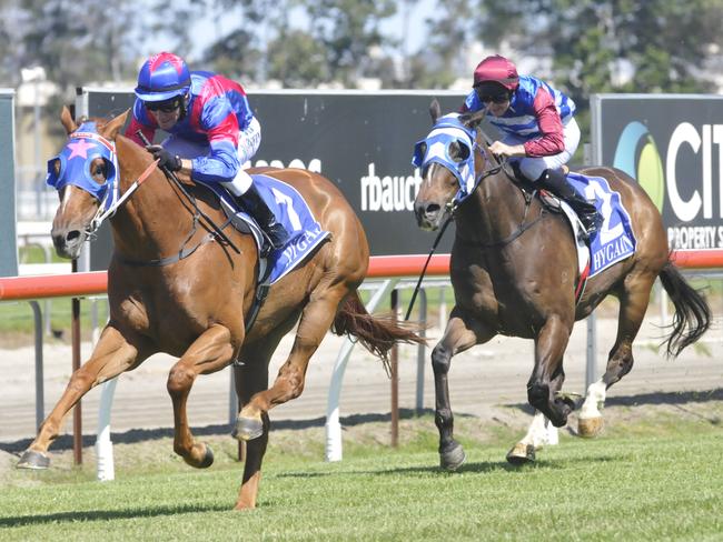 Daniel Griffin riding the David Kelly-trained Star of Night to victory in the Qld Brain Institute Class 2 Handicap (1200m) at the Gold Coast in race one on October 1, 2016. Photo: JESSICA HAWKINS/TRACKSIDE PHOTOGRAPHY