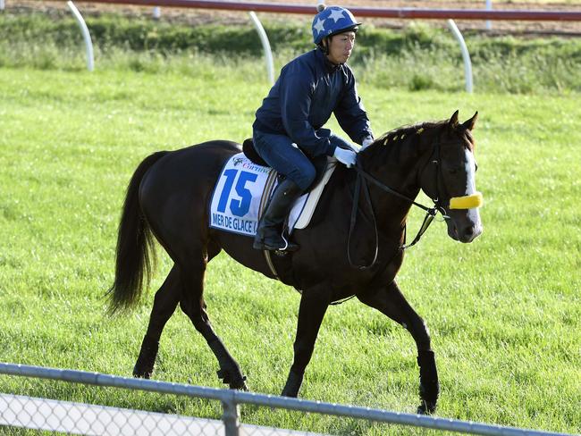 A jockey rides Japanese horse Mer De Glace during early morning trackwork at Werribee today. Picture: William West/AFP