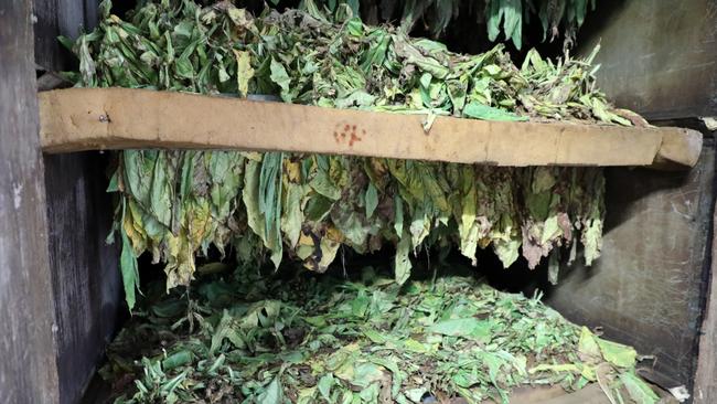 A major illegal tobacco operation was uncovered by multiple agencies. Picture: David Hurley