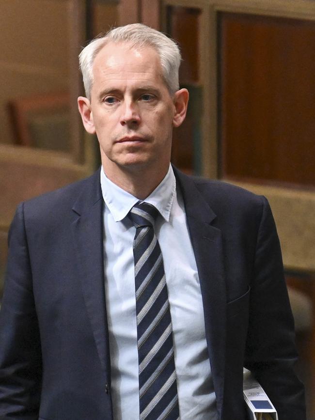 Minister for Immigration Andrew Giles.