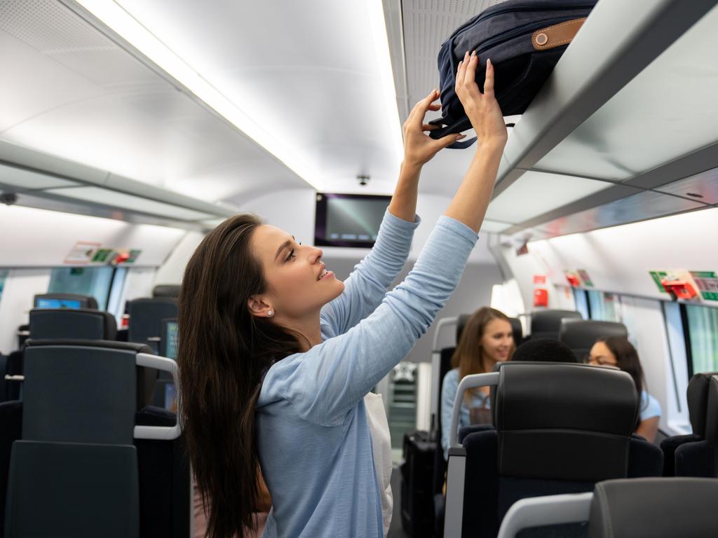 overhead bin luggage