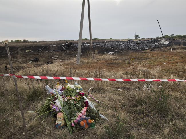 The Grabovo crash site in the aftermath of the MH17 disaster. Picture: Ella Pellegrini