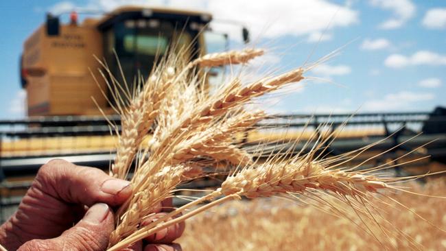 GrainCorp has provided a rich harvest for investors.