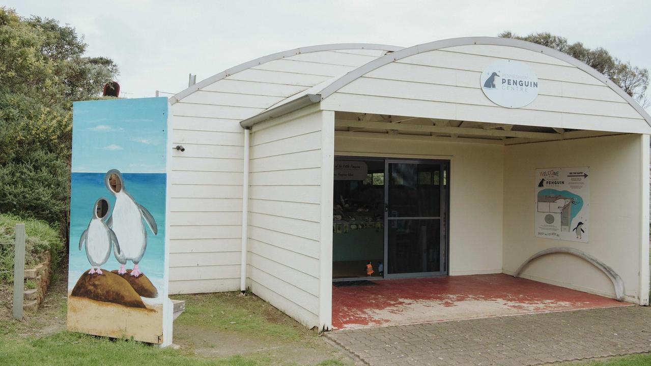 Kangaroo Island’s penguin tour business for sale at Penneshaw | Daily ...