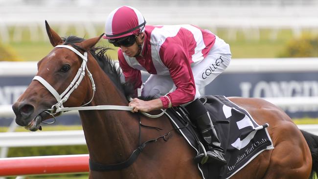 Arcadia Queen has drawn well and has the talent to be right in the finish. Picture: AAP