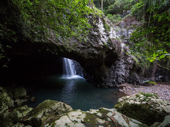 The Most Amazing Rainforests In Australia