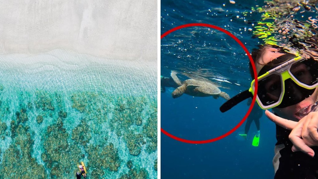 Incredible sight hiding off quiet Aussie beach