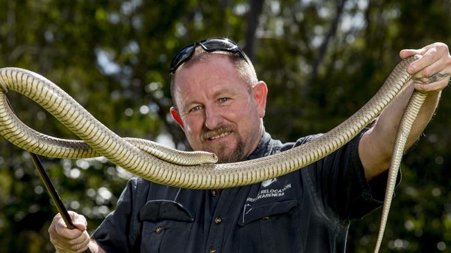 Gold Coast snake catcher Tony Harrison with an eastern brown snake. Picture: Jerad Williams