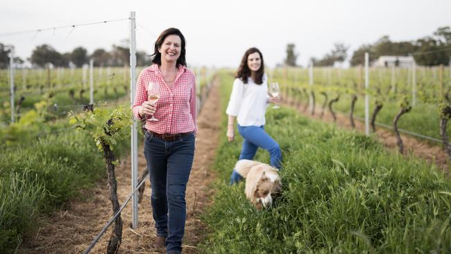 New challenges: Mother-daughter duo Wendy and Natasha Killeen, with Juliette the dog, among the vines at Stanton and Killeen, at Rutherglen. Picture: Jimmy Walsh