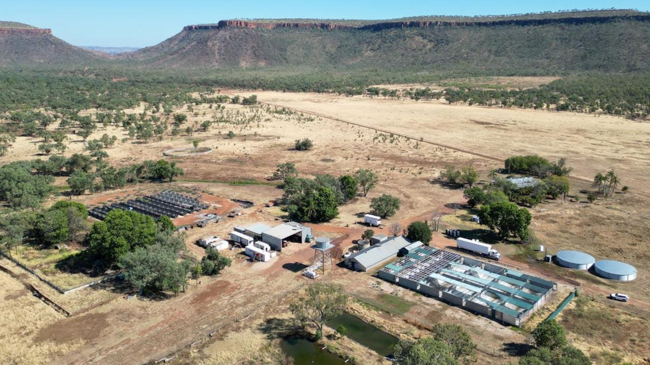 An offer to snap up: Storied NT crocodile farm listed for sale