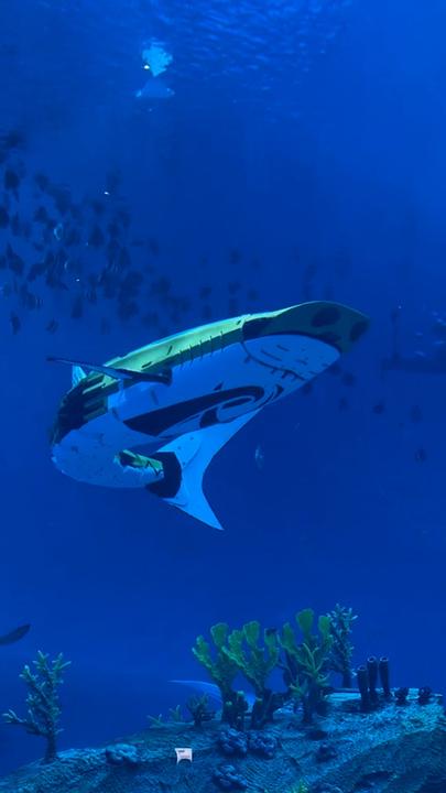 Visitors left furious after zoo uses fake robot shark in aquarium