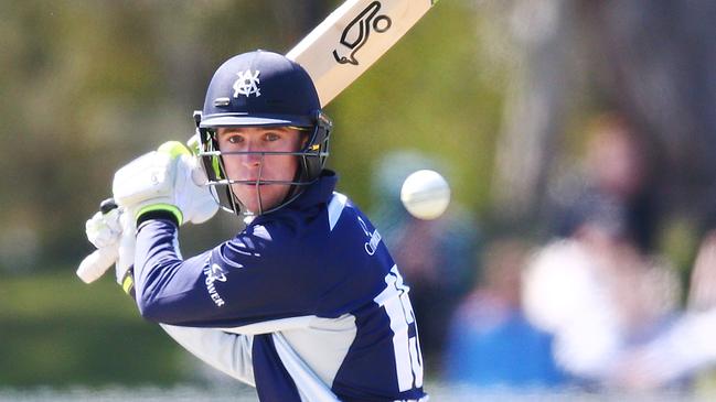 Mackenzie Harvey for Victoria during the JLT Cup.