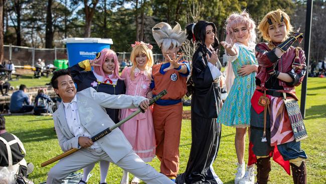 Animated festivalgoers dress up for the occasion. Picture: Christian Gilles