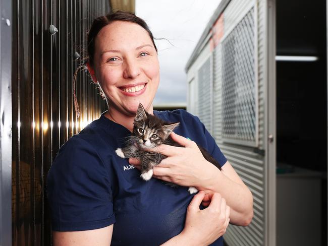 Alisha Tams supervisor with a rescue kitten at Ten Lives Cat Centre.  The centre has recently a large industrial washing machine to through the Stronger Community Grant.  Picture: NIKKI DAVIS-JONES