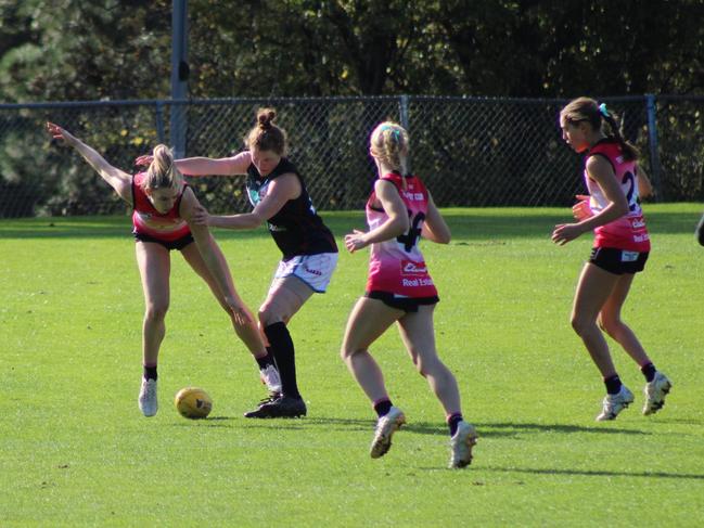 SFLW Community League: Hutchins v Cygnet. Picture: Jake Garland