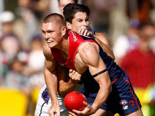 AFL stalwart Adam Tomlinson is a VFL Kangaroo. Photo by Michael Willson/AFL Photos via Getty Images