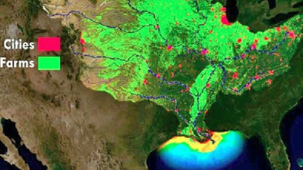 Dead zone Gulf of Mexico’s hypoxic zone predicted to span 20,000
