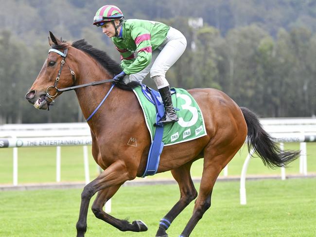 Safado can breakthrough at Gosford on Sunday. Picture: Bradley Photos