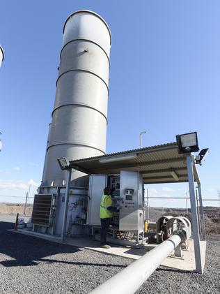 City of Sydney deploys food hydrator for fertilising its green