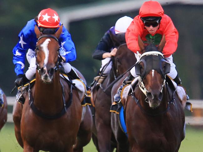 Song and Laughter (red silks) wins race 5 ridden by Tim Clark during Warwick Farm races. pic Mark Evans