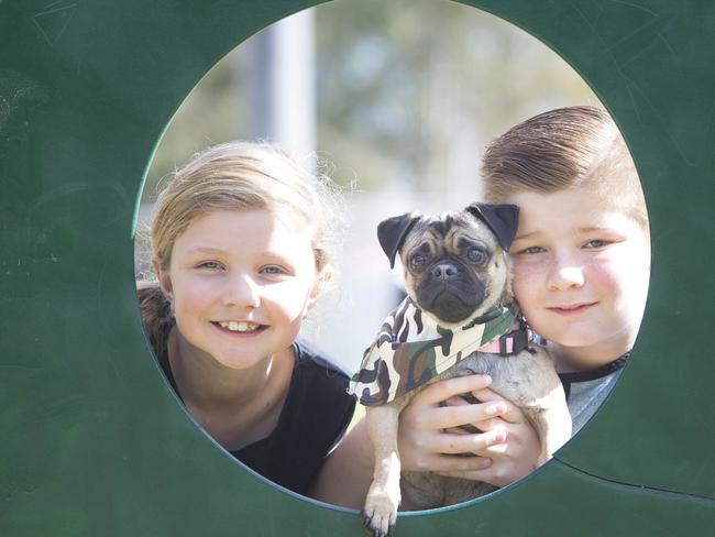 Macarthur Chronicle - Pictured: Madison Holmes (8, female) with brother Cameron Holmes (12) and Sofia the pug (2 1/2 years old - winner of the first race) of Macquarie Fields NSW CONTACT PHOTOGRAPHER FOR MOBILE NUMBER - Campbelltown Pug Club held a Pug meet and greet along with a few casual races at Mary Brookes Park, Kellerman Drive, Campbelltown NSW Australia. Other breeds of dog were also invited to race.