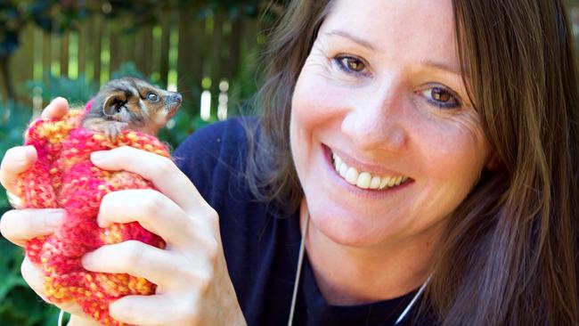 WIRES’ chief executive Leanne Taylor is pictured in 2015 holding a rescued baby possum. Picture: Phil Carrick/Carrick Vision