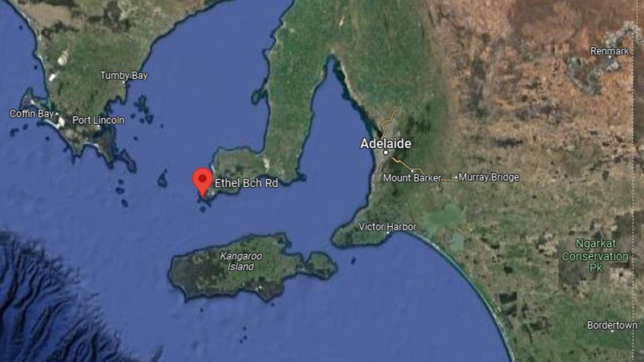 Shark attack strikes South Australia at Ethel Beach | news.com.au