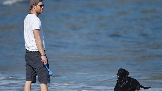 Prince Harry goes barefoot on the beach while playing fetch with his black lab, Pula, in Santa Barbara. Picture: The Mega Agency