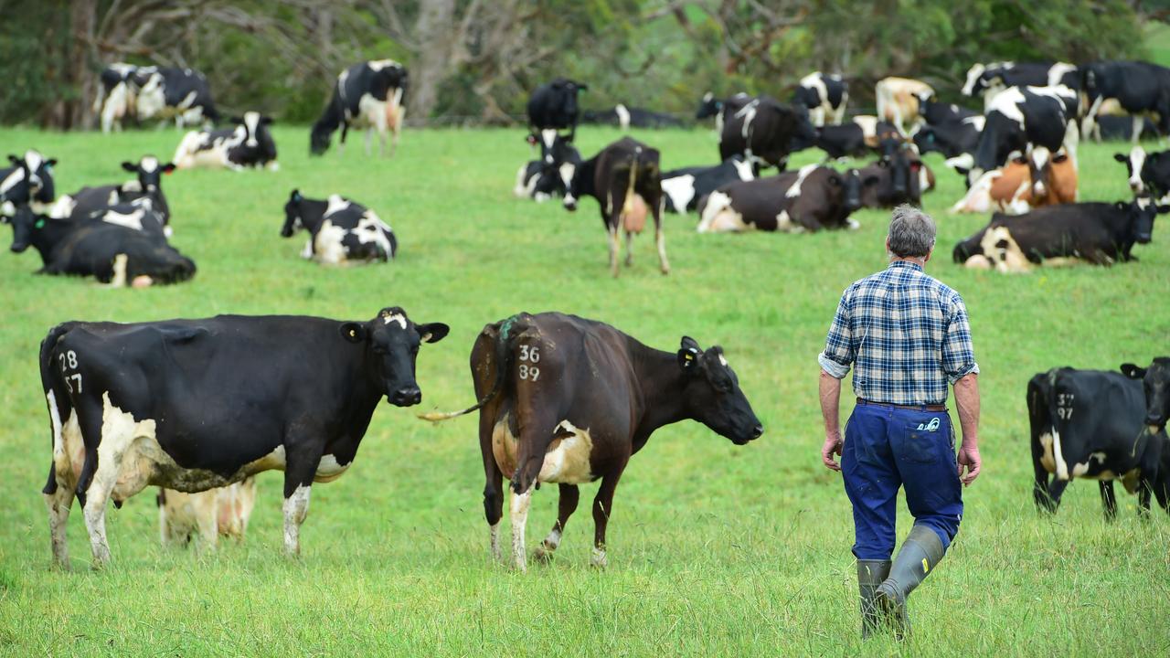 Dairy farmer faces legal action over alleged worker underpayment | The ...