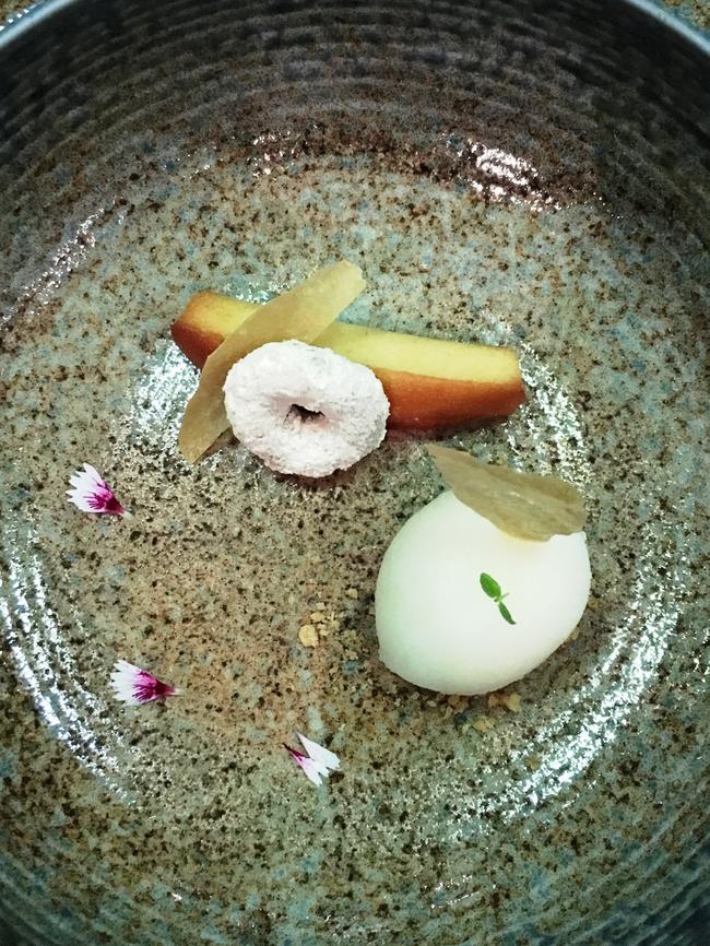 The ginger sorbet with ginger chips and tofu doughnut.