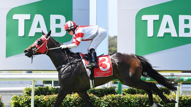 Sunshine Coast Turf Club’s Caloundra Cup Day is set to ahead as planned. Picture: Patrick Woods / Sunshine Coast Daily.