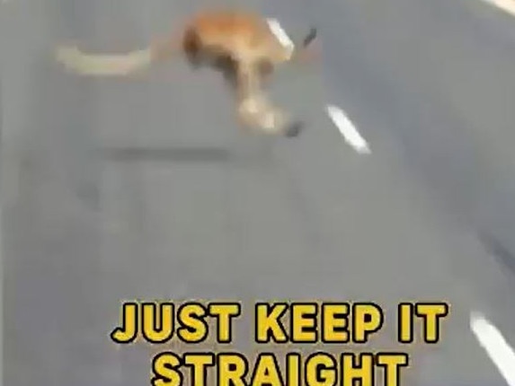 Keep on trucking.